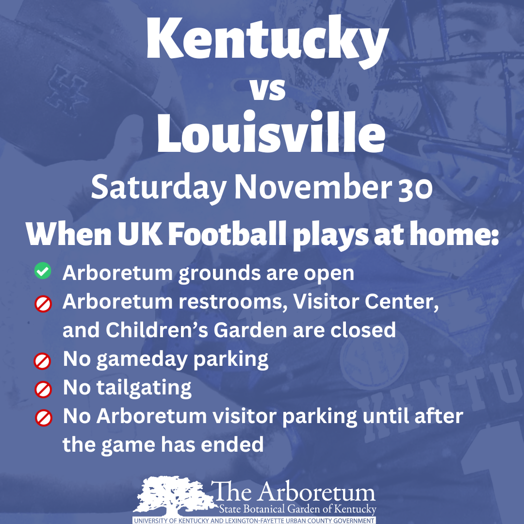 Louisville home game 2024