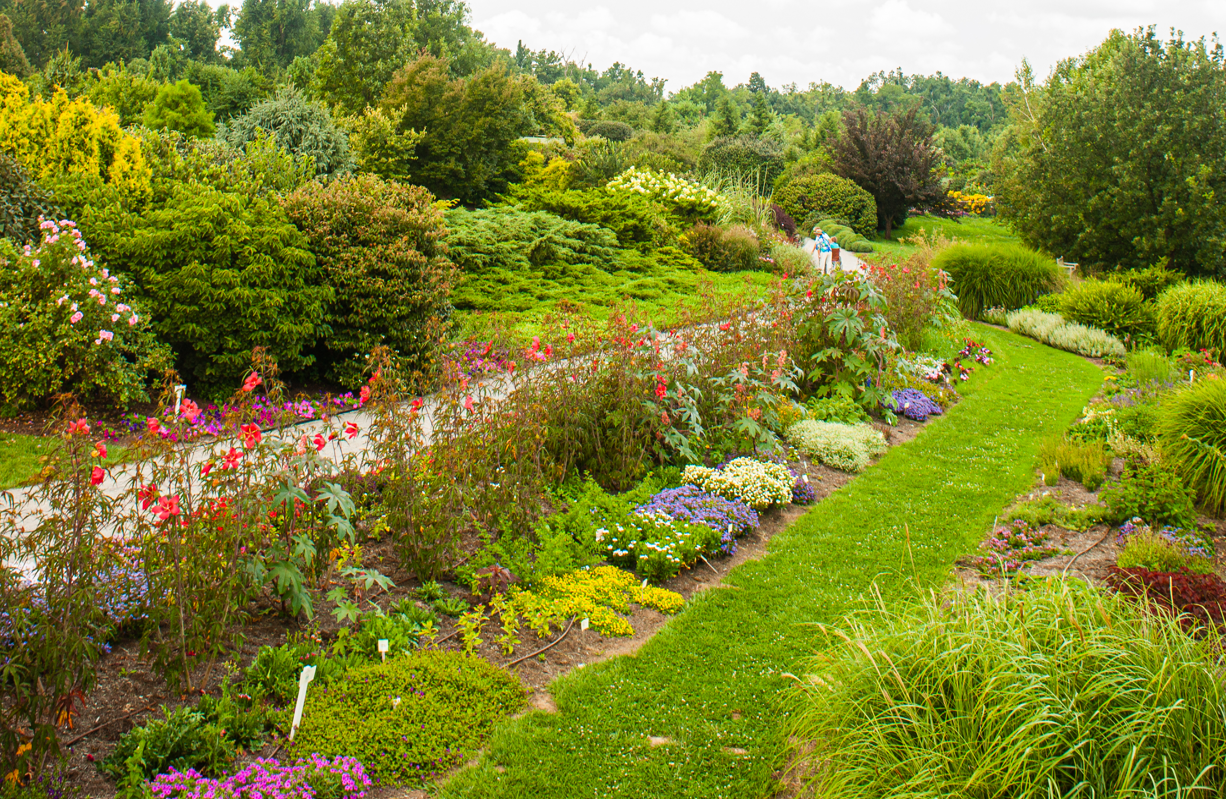 The Botanical and Horticultural Gardens