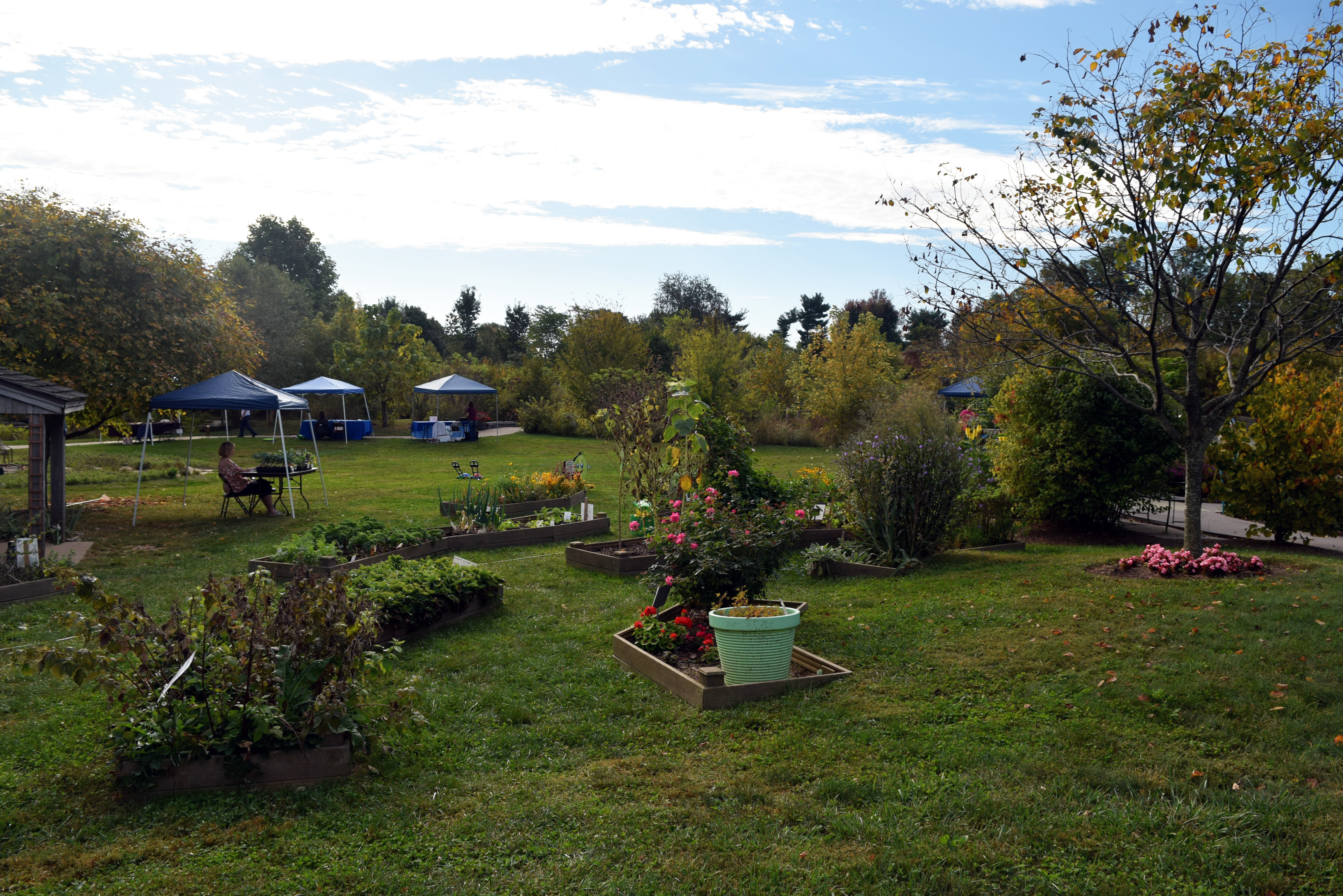 View of the raised garden beds