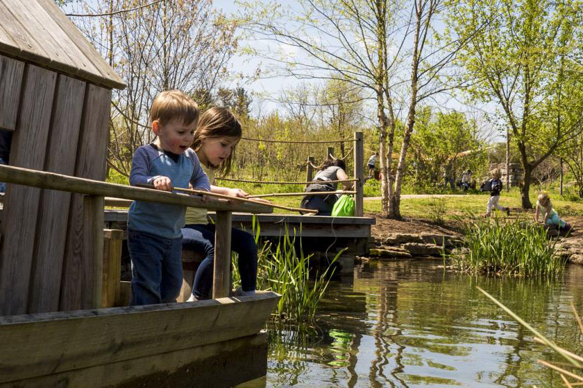 Children look at the water at the Kentucky Children's Garden