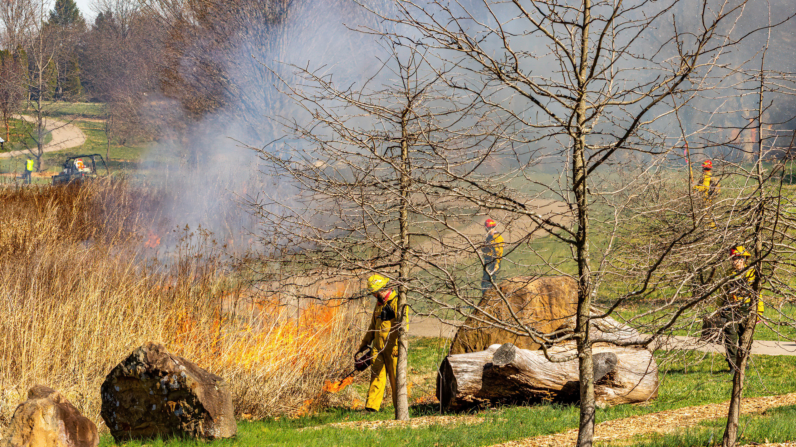 Prescribed fire at The Arboretum.