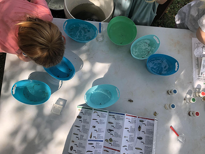 Kids learning and looking at items on a table in the Garden