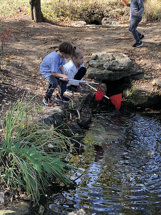 Kids using nets in the water at the Garden