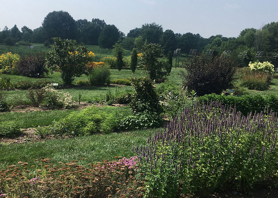 The Perennial Teaching Garden