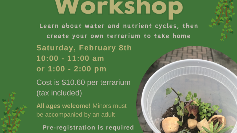 Terrarium Workshop: $10.60 on on Saturday, February 8th. Come join us to create your own Terrarium! All ages welcome