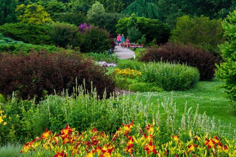 People walk on a path at The Arboretum